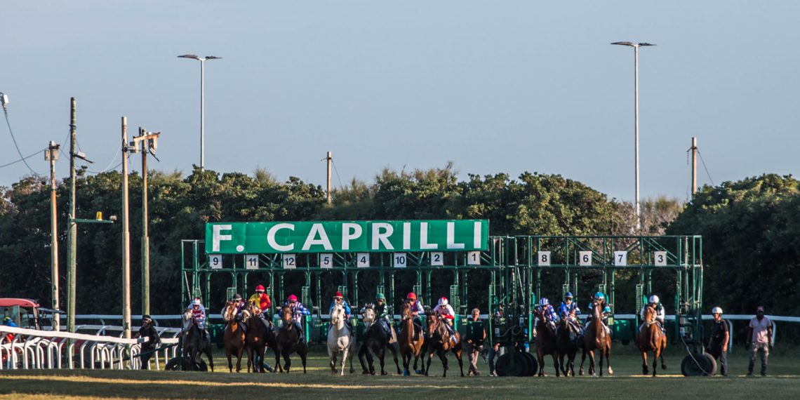 La riapertura del Federico Caprilli