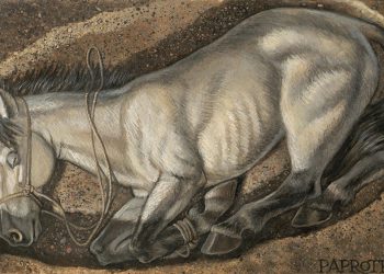 La storia accanto all’uomo? Tutta in salita