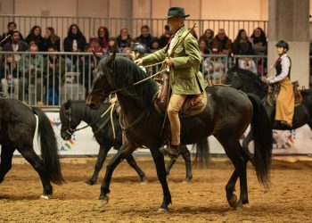 La Toscana più rara protagonista a Fieracavalli