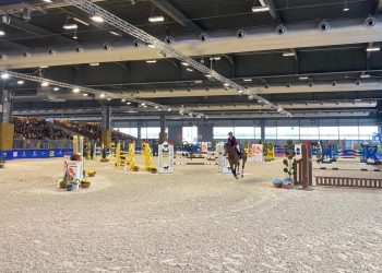 Arena Fise: largo alle regioni!