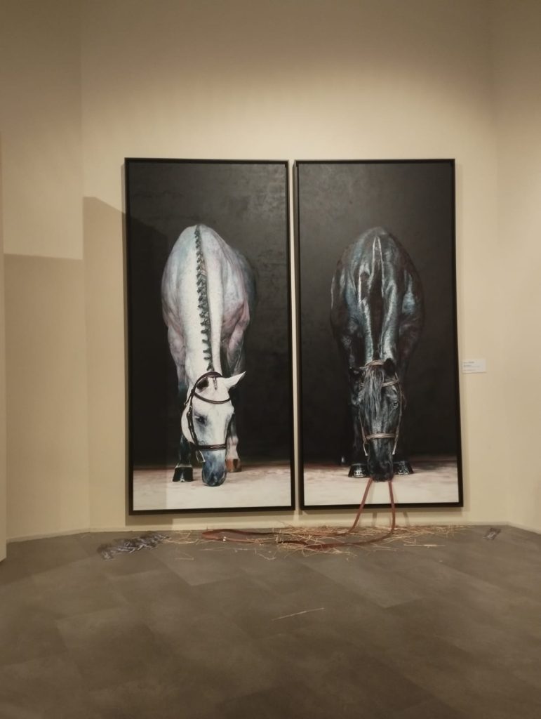 WhatsApp Image 2024 10 29 at 12.44.26 771x1024