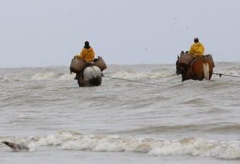 Dalle Fiandre al mare del Nord: gli ultimi pescatori a cavallo