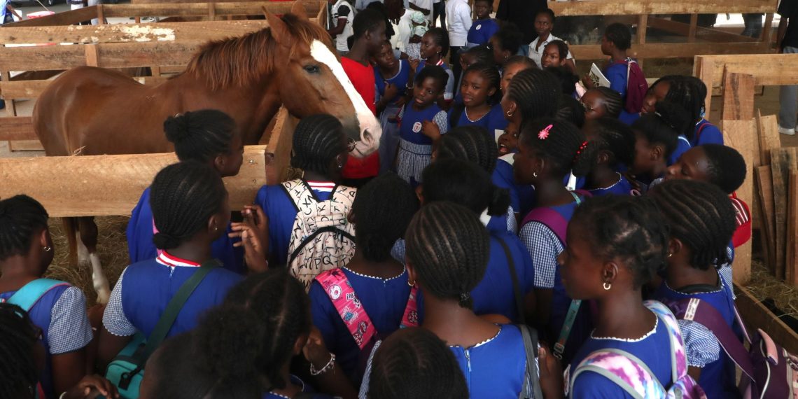 Abidjan Livestock Summit: alla fiera della Costa d’Avorio