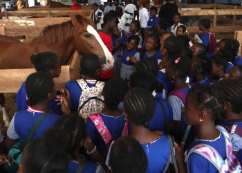 Abidjan Livestock Summit: alla fiera della Costa d’Avorio