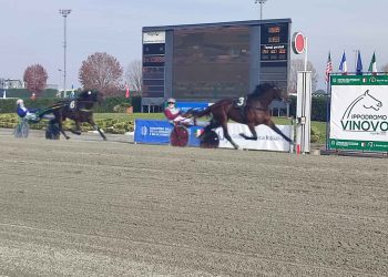Ginostrabliggi stratosferico, si aggiudica la Finale Anact Stakes