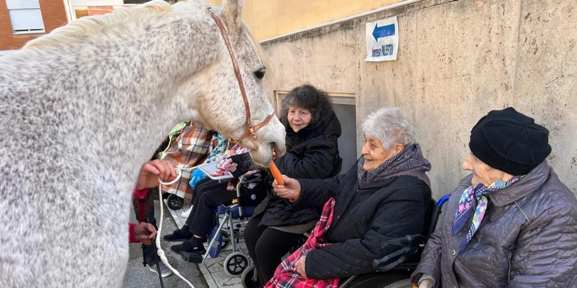 Ascoli: Zaff fa bene sia ai nonni che ai bambini