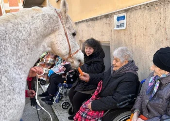 Ascoli: Zaff fa bene sia ai nonni che ai bambini