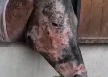 Non vogliamo mica la Luna…solo aiutarla!