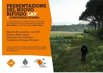 Sarà in Umbria la nuova Casa degli Animali Lav
