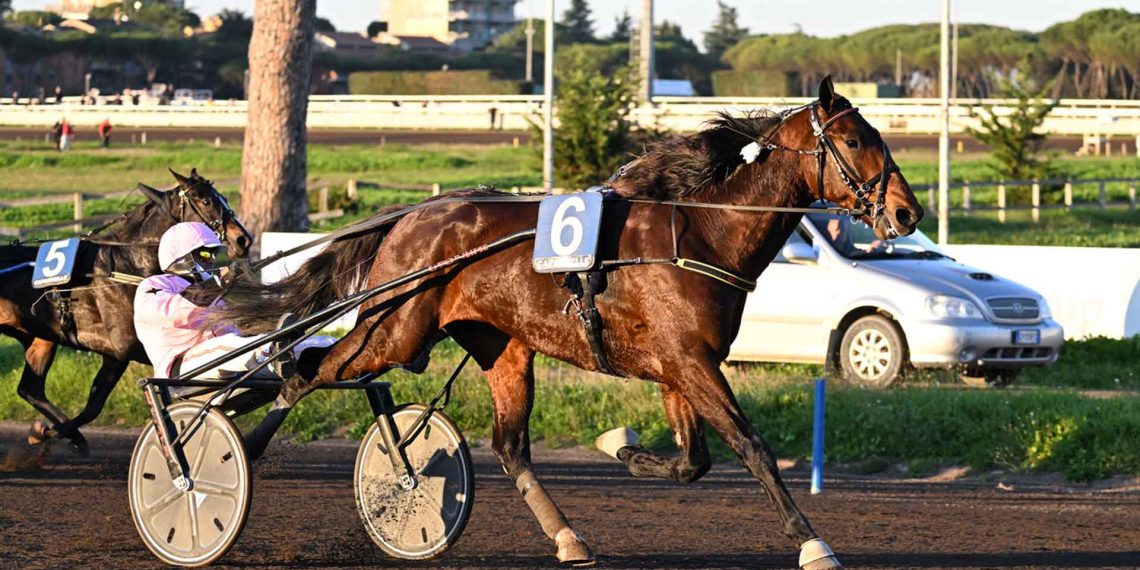 “Gocciadoro Day” all’Ippodromo Capannelle