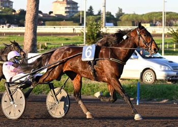 “Gocciadoro Day” all’Ippodromo Capannelle