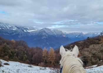 Dove nascono i sogni? In sella alla Lessinia