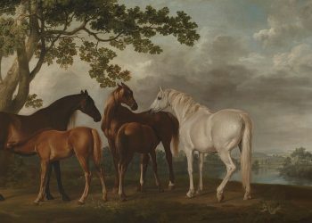 George Stubbs: il pittore dei cavalli