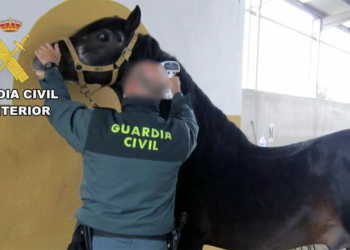 Traffico dalla Spagna alla Libia