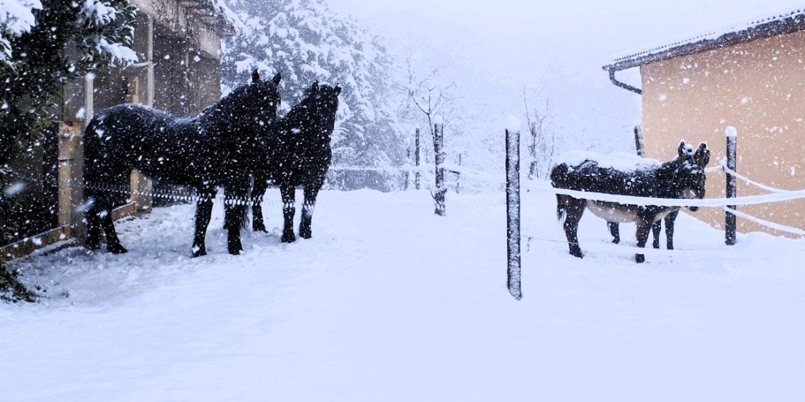 È arrivato l’inverno: bevi che c’è freddo!