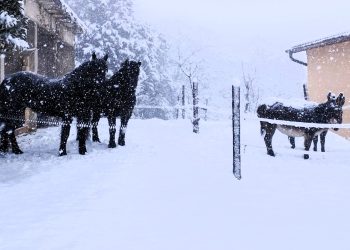 È arrivato l’inverno: bevi che c’è freddo!