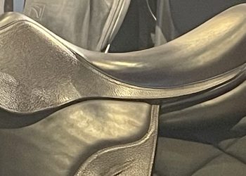 Furto di selle. Il mondo dei cavalli risponde