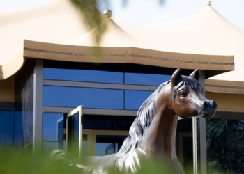 Gli ambiziosi progetti del Salam Equine Hospital