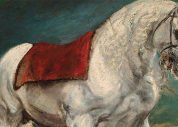 Sorpresa sotto l’Andaluso di van Dyck