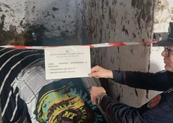 Marche: il pavimento del box cede, cavallo muore per i traumi