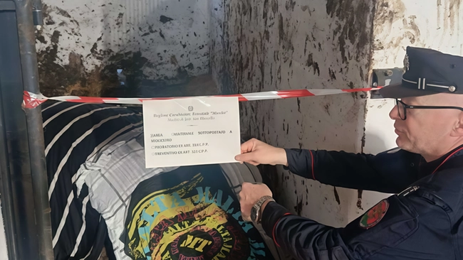 Marche: il pavimento del box cede, cavallo muore per i traumi