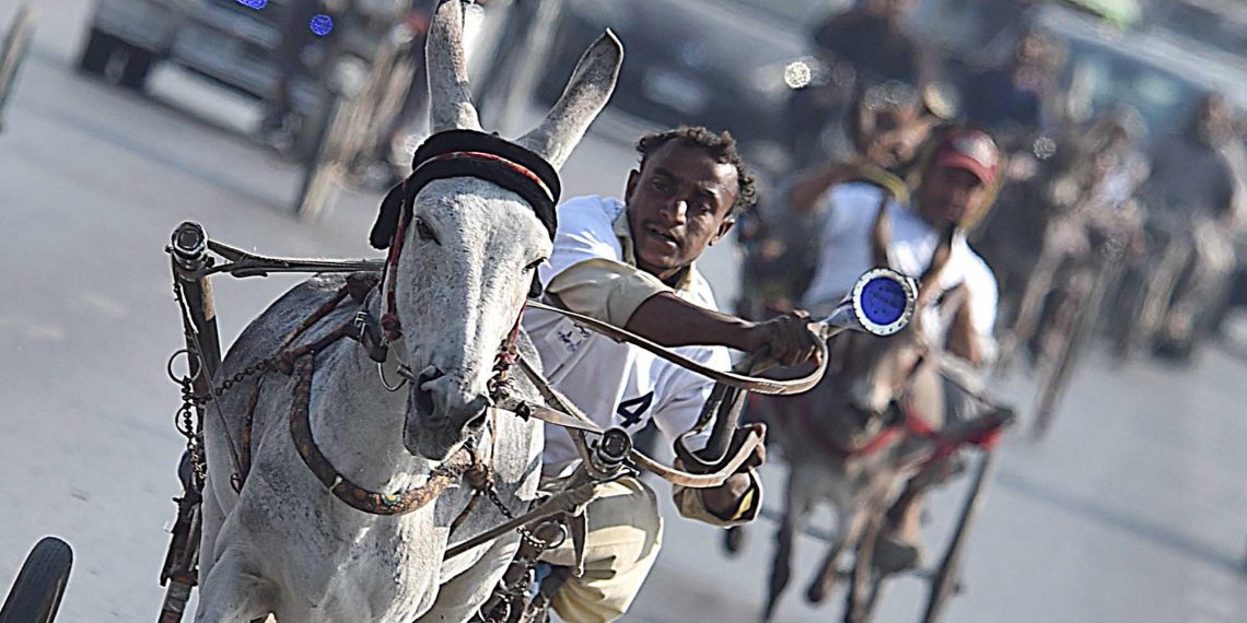Pakistan: la Champions Donkey Cart Race