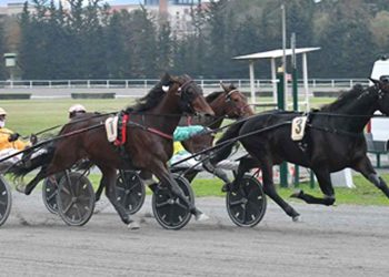 Aspettando il Gran Premio Duomo