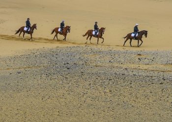 Costa Verde: il mare, la Sardegna e il vento