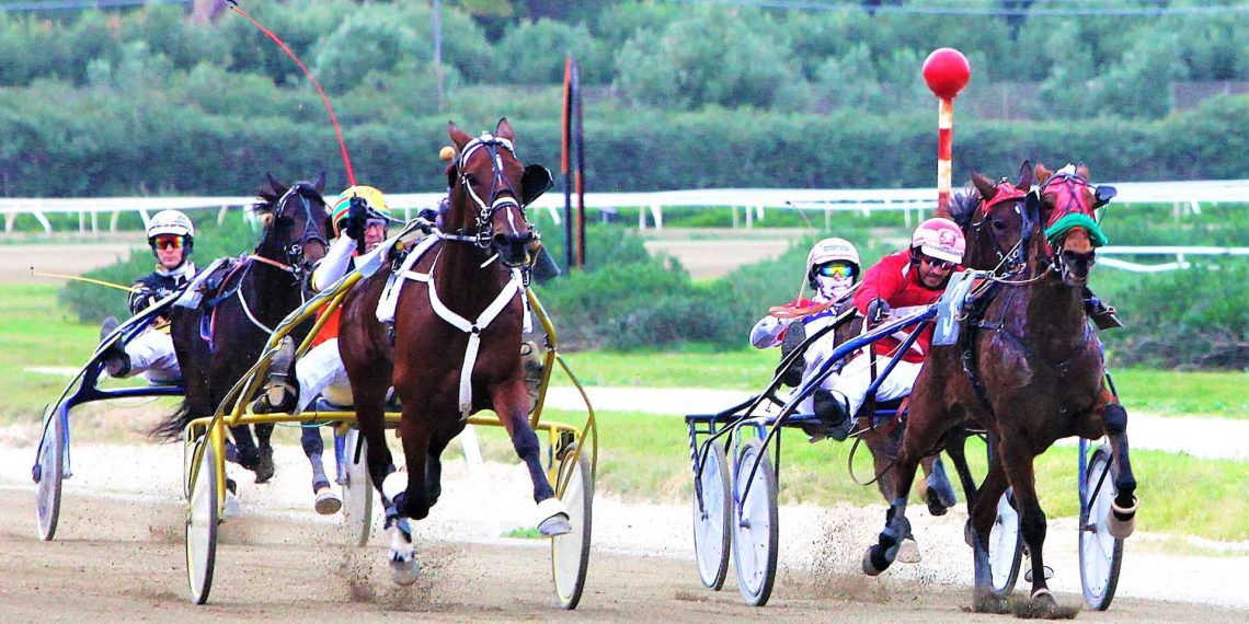 L’ippica spettacolo a Siracusa