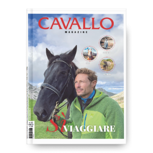 TURISMO EQUESTRE