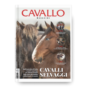 CAVALLI SELVAGGI