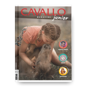 JUNIOR