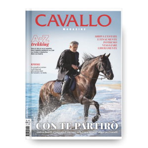 TURISMO EQUESTRE