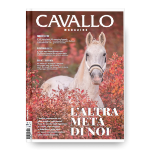 RAZZE DEI CAVALLI
