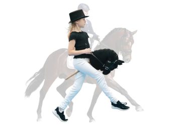 Il dressage… diverso