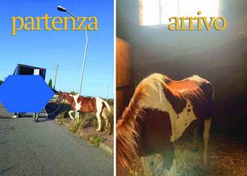 Una cronaca annunciata?
