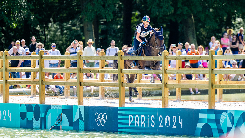 53886970689 e2ef888344 k