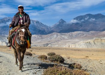 Esiste il Blue Monday a cavallo?