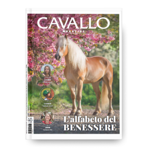 BENESSERE