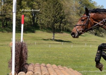 Completo senza dressage e salto?