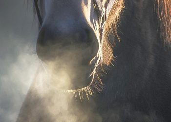Coliche: 4 contromisure facili facili