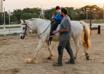Il cavallo come co-terapeuta, promotore di educazione e integrazione