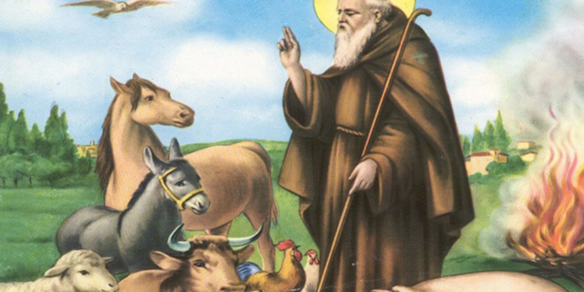 San Pietro in Campo, benedizione degli animali