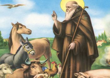 San Pietro in Campo, benedizione degli animali
