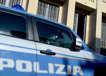 Catania, sequestro di cavalli non censiti e di un caseificio abusivo