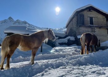 Suamy, morta per i botti di Capodanno