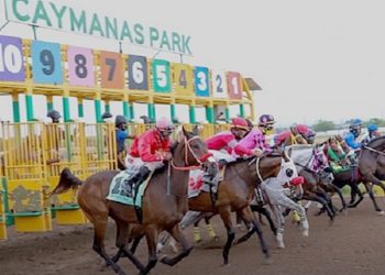 Perfino in Giamaica…