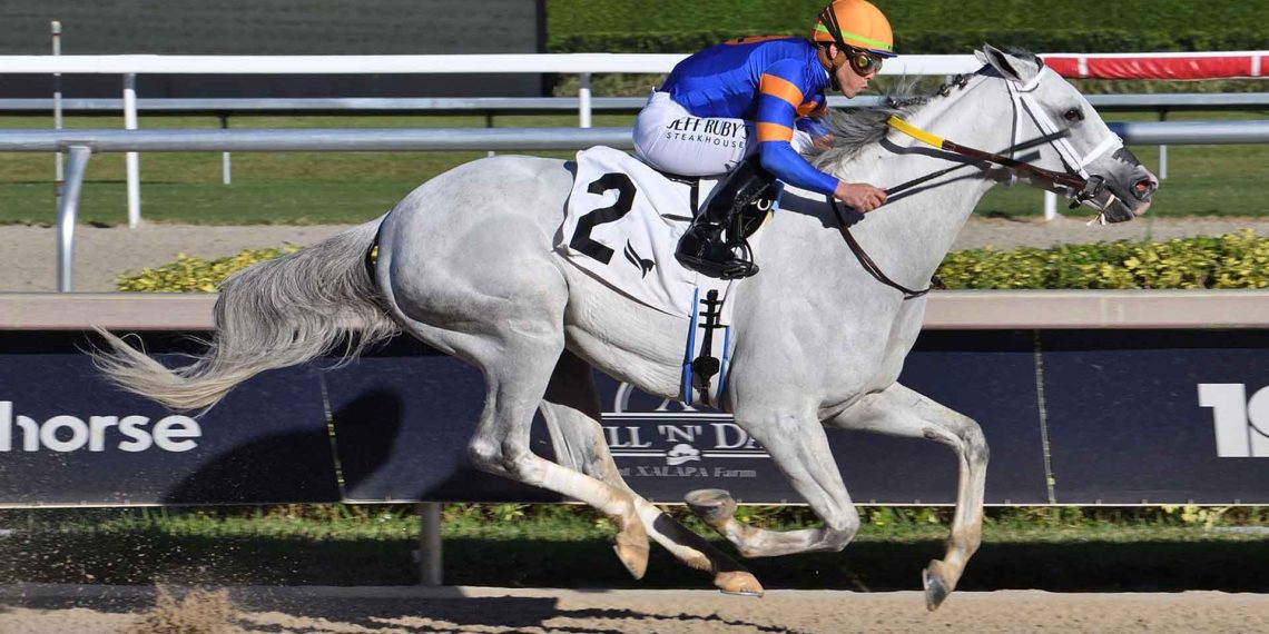 White Abarrio domina la Pegasus Cup