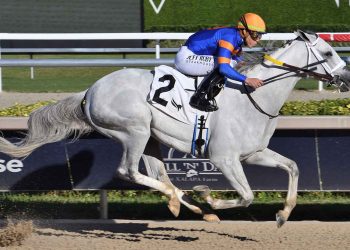 White Abarrio domina la Pegasus Cup