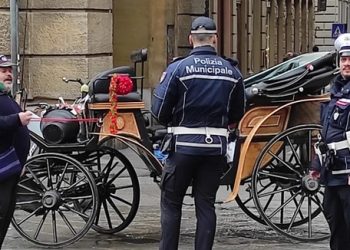 Firenze, cavalli e carrozze in città: parliamone